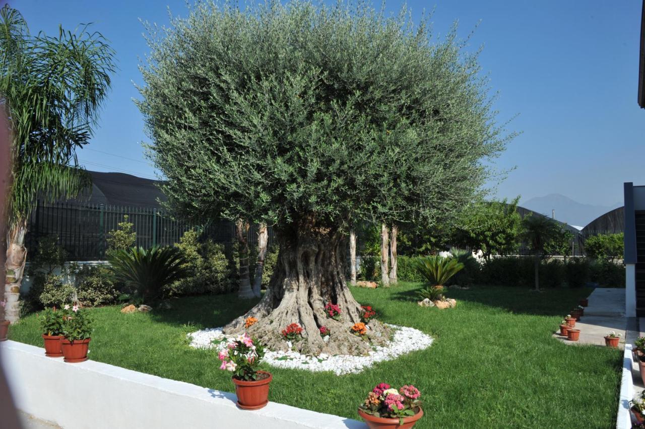 B&B Cascina Fiorita Santa Maria La Carita Ngoại thất bức ảnh